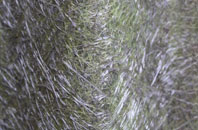 Weston By Welland fibreglass roof work